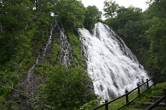 �I�V���R�V���̑�